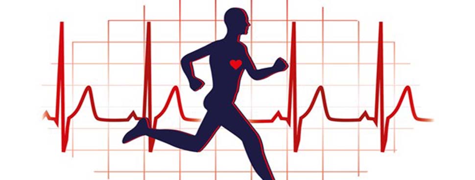 kalp sağlığı beslenme eğitimi anlık kalp atış hızı elma sağlığı